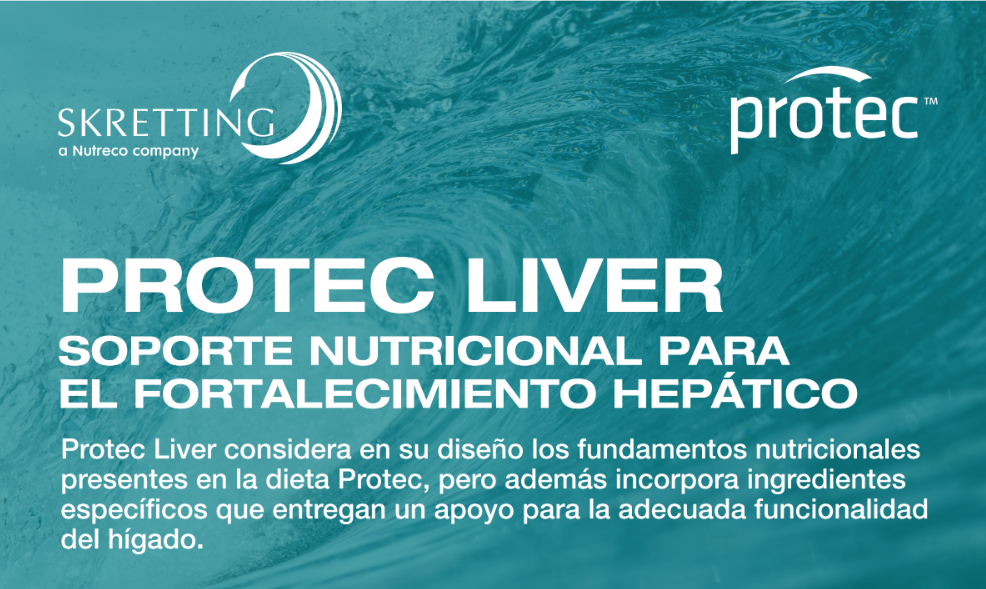 Protec Liver: El soporte nutricional clave para el fortalecimiento hepático de los peces