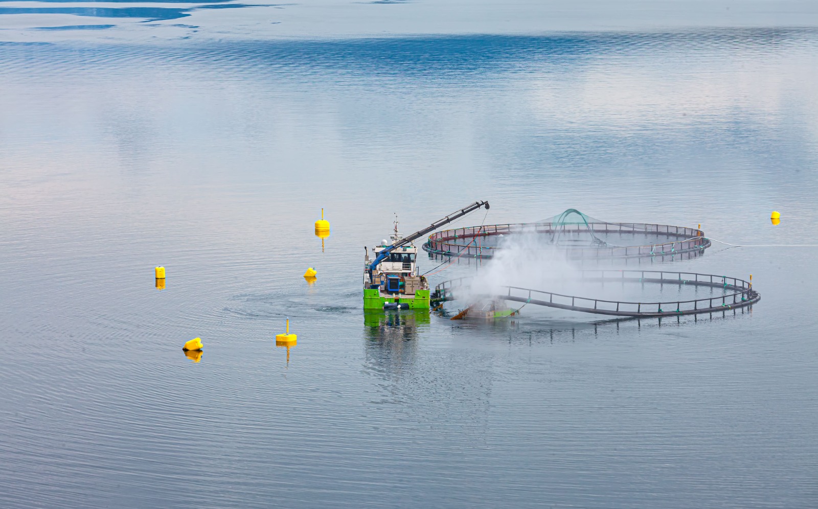 Endeavor conectará a emprendedores con grandes actores de la salmonicultura en AquaSur Tech