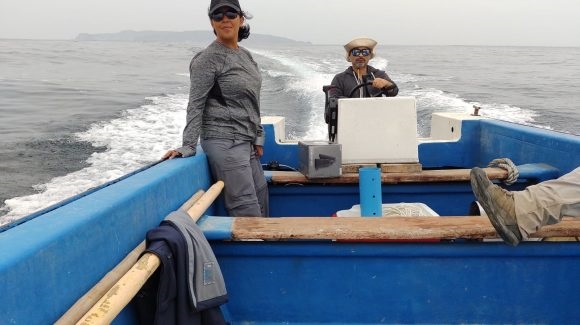 Coquimbo: Estudian cambios químicos en ecosistemas marinos y sus potenciales efectos