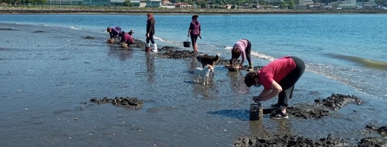 Mariscadoras de Isla Tenglo buscan reconocimiento patrimonial inmaterial