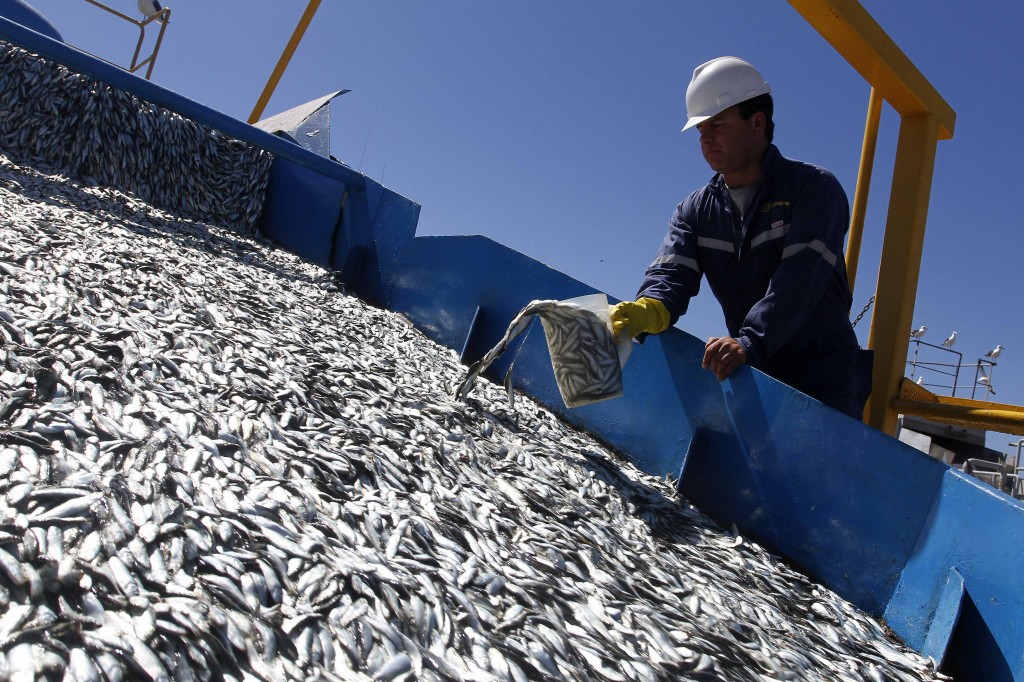 Dirigentes sindicales de pesca industrial llaman a extremar medidas para proteger salud y seguridad de trabajadores