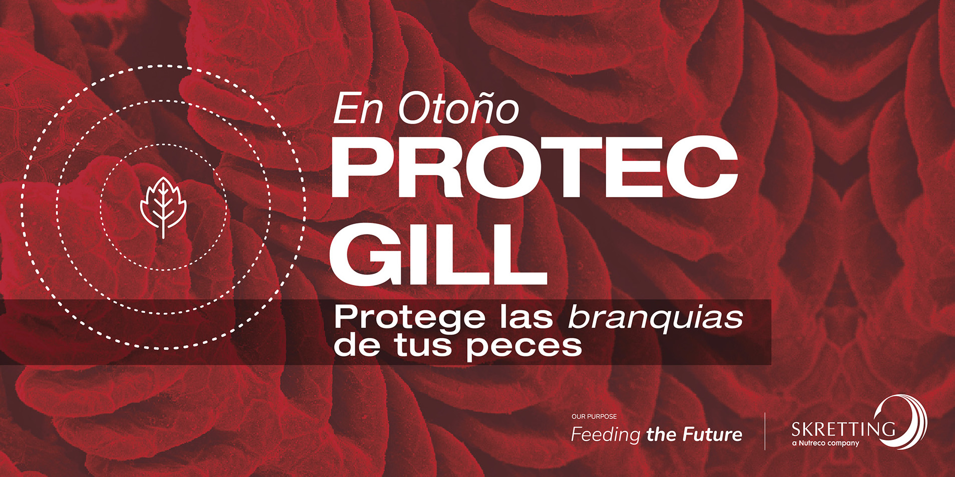 Protec Gill es la única dieta funcional con resultados comprobados contra el daño branquial
