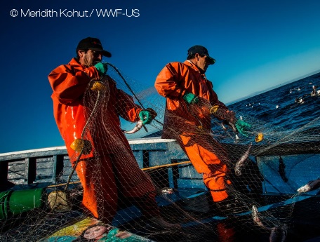 Skretting colabora con WWF y Finance Earth para impulsar la pesca sostenible en todo el mundo