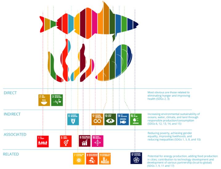 Publican estudio sobre contribución de la acuicultura a los ODS de la Agenda 2030