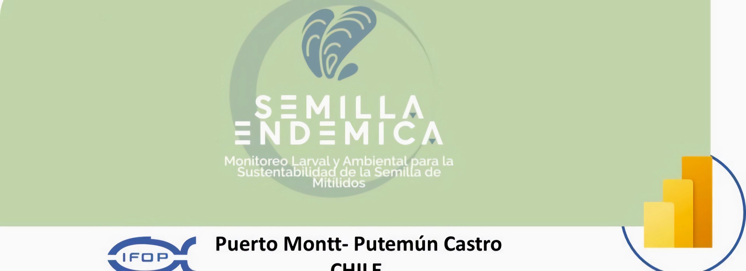 Plataforma digital “Semilla endémica” incorporó sección “Encuestas al sector mitilicultor”