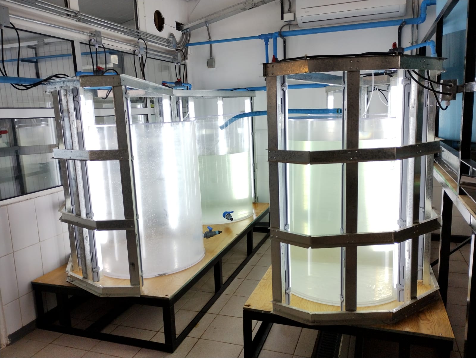 En Mehuín se inaugurará primer hatchery acuícola para la educación técnico profesional