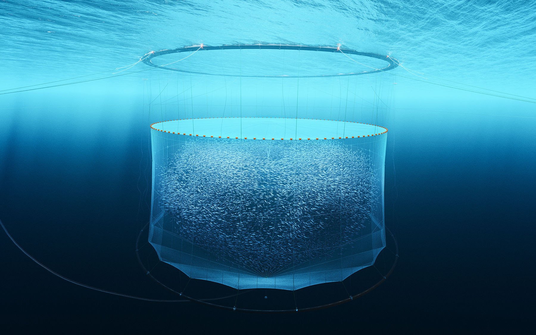 ScaleAQ destaca innovador sistema submarino que controla los piojos de mar