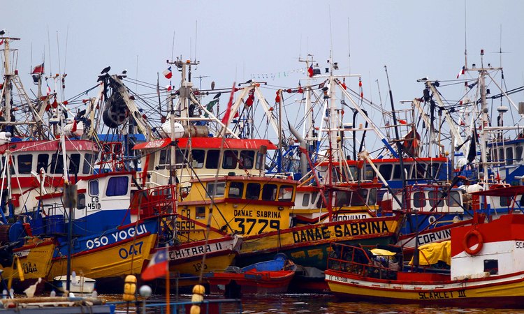 Subsecretario a pescadores del Biobío: “Pueden seguir operando tal como lo han hecho en los últimos cinco años”