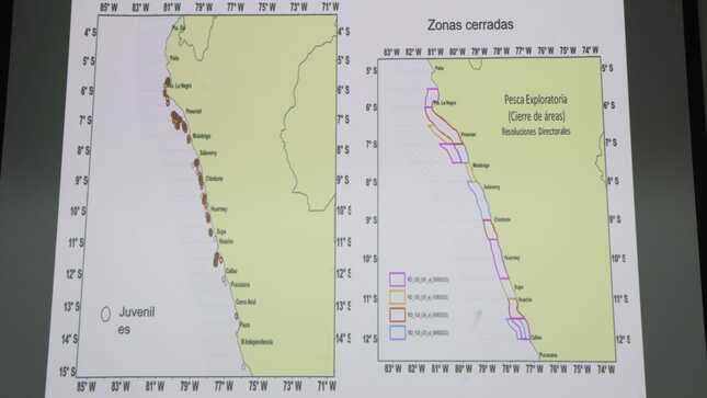 Perú suspende temporada de anchoveta en la zona norte-centro