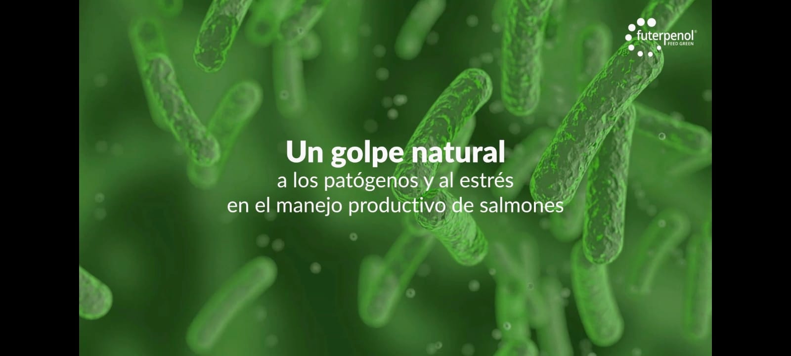 MNL presenta aditivo natural que fortalece la salud de los salmónidos