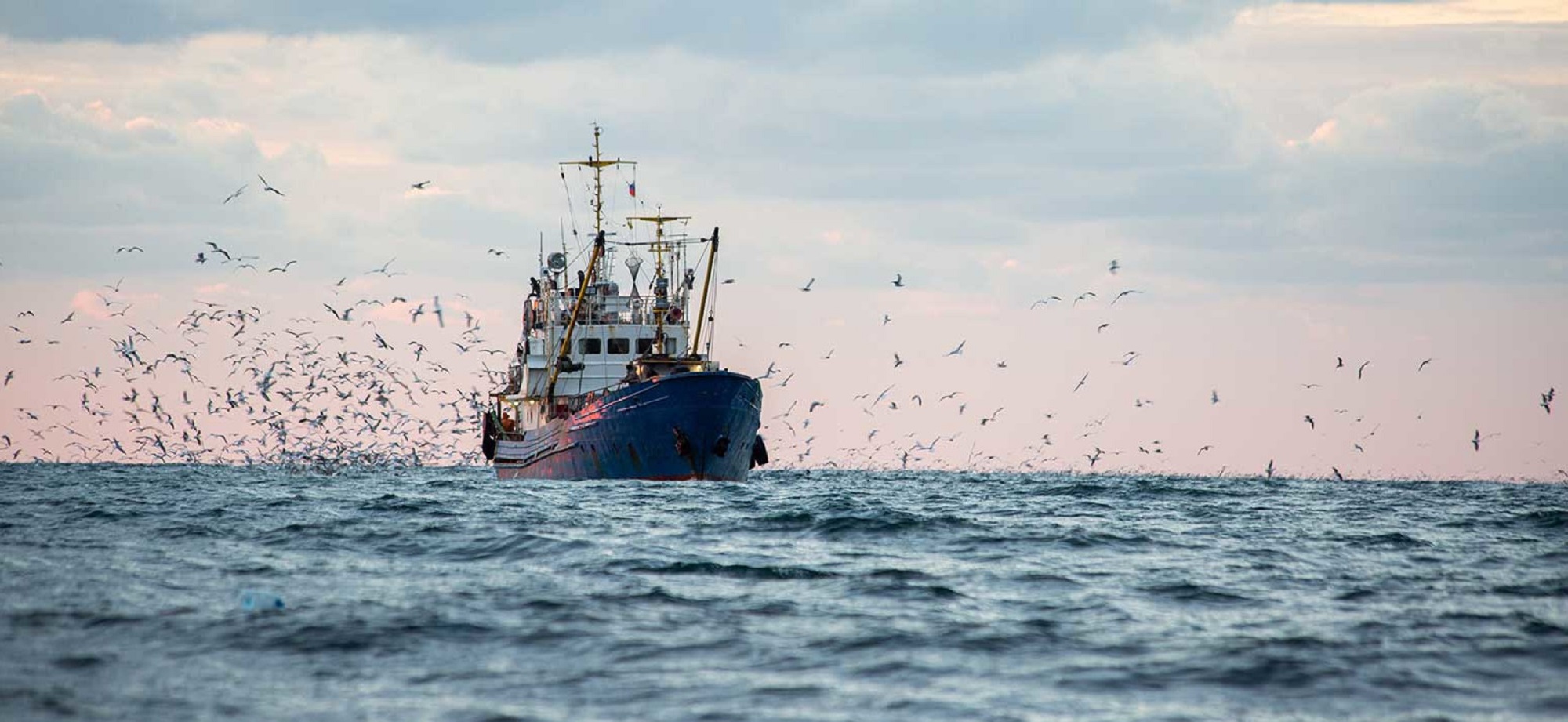 Sector pesquero industrial pide medidas urgentes para enfrentar el Fenómeno de El Niño