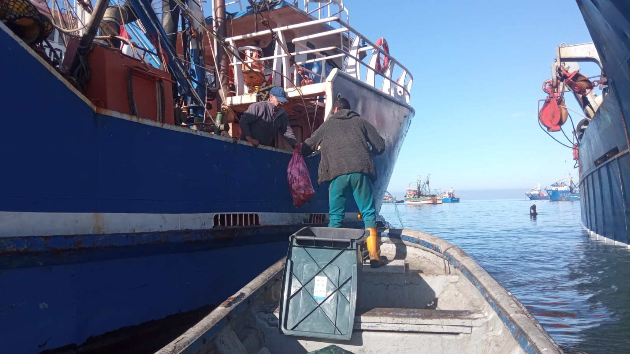 Programa ambiental logra importante recuperación de residuos pesqueros artesanales