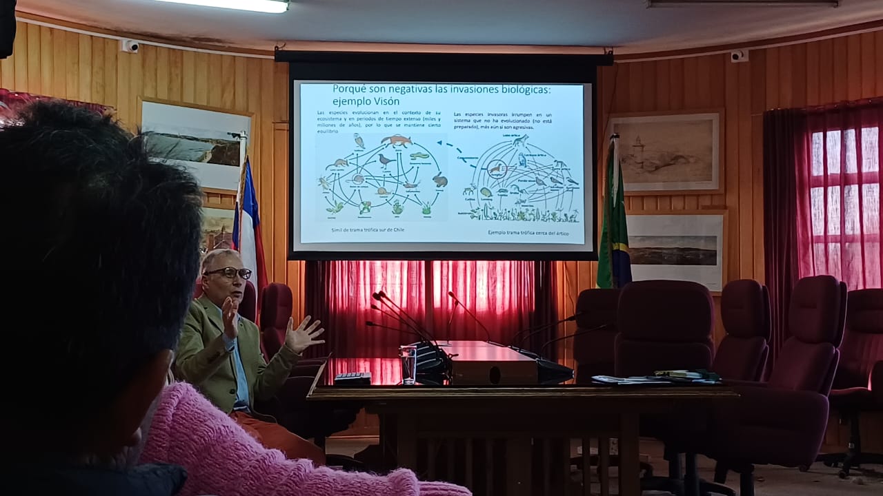 Realizan charla sobre avance de anémona invasora Metridium senile en el sur de Chile