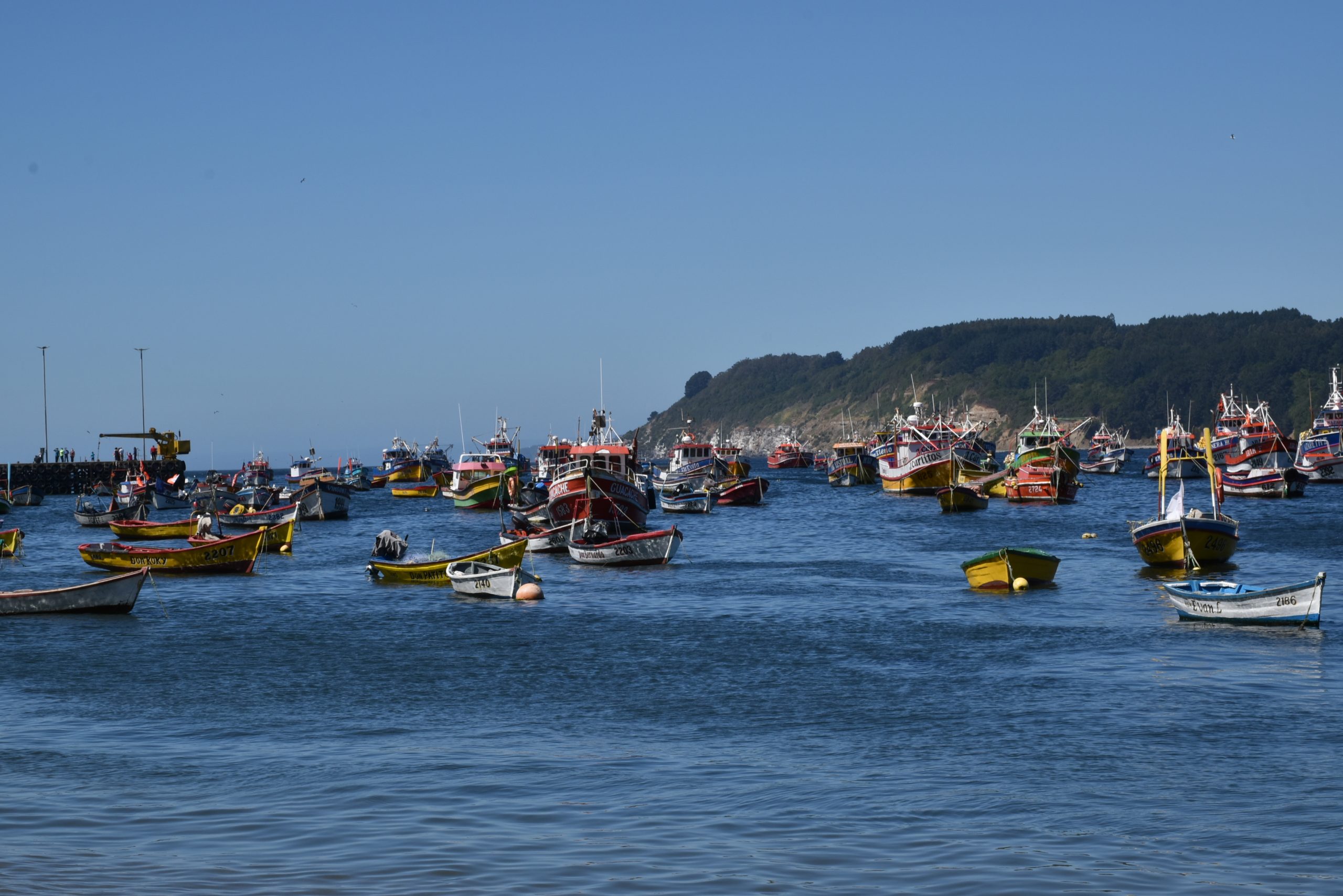 Seminario abordará pesca ilegal e incumplimiento de regulación pesquera en Asia y Latinoamérica