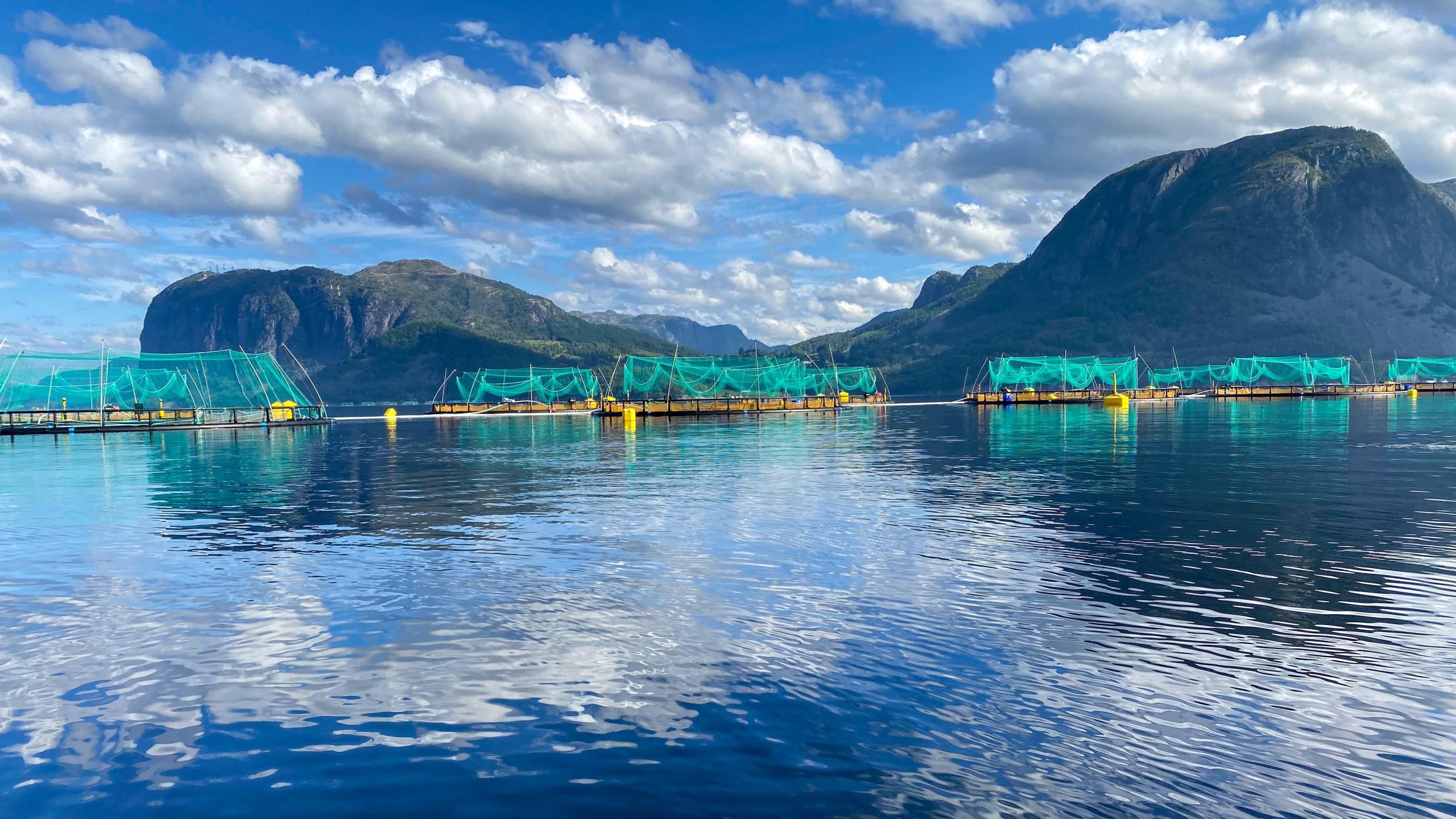 Noruega: Los avances de AKVA group en amarres para cultivo en profundidad