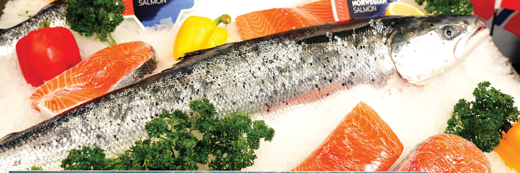 Norwegian Seafood Council presentó su visión sobre precios e impuestos en la acuicultura