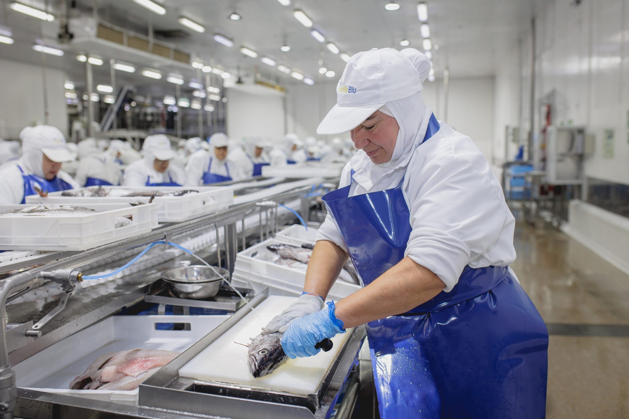PacificBlu entrega más de 7 millones de raciones de merluza a Junaeb