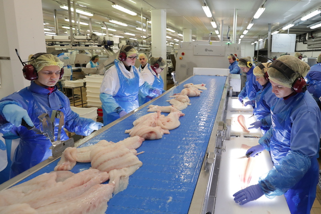 Noruega: Informe muestra que la industria pesquera es clave para el empleo
