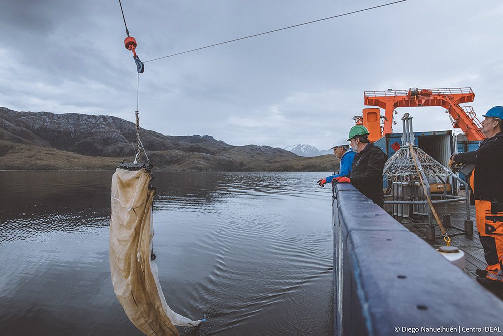 Estudio aborda vínculo entre derretimiento de glaciares y plomo en aguas costeras polares