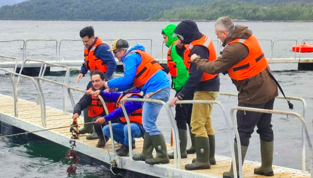 Citecma lidera la revolución verde en Aysén con acuicultura multitrófica innovadora