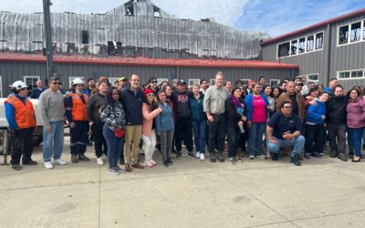 [LA + LEÍDA EL VIERNES] Indemnizarán a trabajadores de planta de procesos de salmones en Punta Arenas