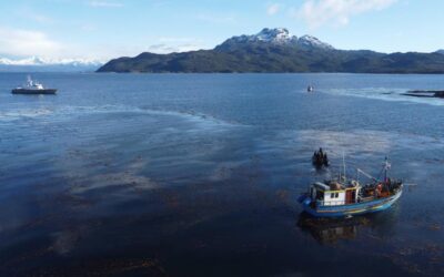 Magallanes: Fiscalización en Isla Magdalena detectó operaciones de pesca ilegal