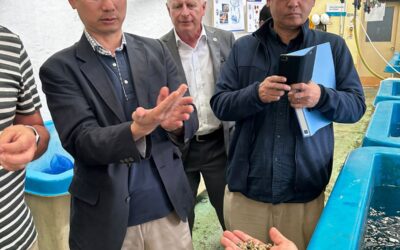 Delegación japonesa visita Centro Costero UCN y concesiones marítimas de Tongoy