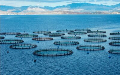 Inician comentarios públicos de nuevo estándar BAP para centros de cultivo de salmón