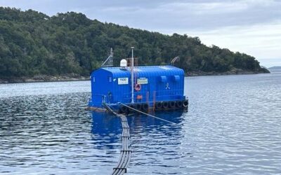 OXZO: Tecnología de vanguardia para la oxigenación y recuperación del fondo marino