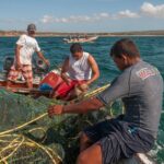 Publican documento para abordar impactos del cambio climático en la acuicultura latinoamericana