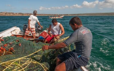 Publican documento para abordar impactos del cambio climático en la acuicultura latinoamericana