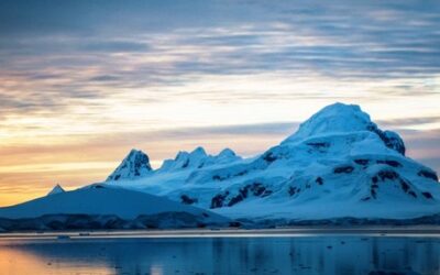 Convocan a ONGs para representación sobre la Conservación de los Recursos Vivos Marinos Antárticos