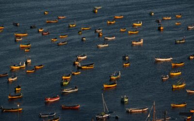 Instituto Milenio Secos analizó año legislativo 2023 sobre Ley Bentónica, Ley SBAP y nuevo proyecto de Ley de Pesca