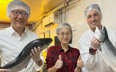 [LA + LEÍDA EL MIÉRCOLES] ProChile apoya la llegada del salmón fresco chileno a Malasia