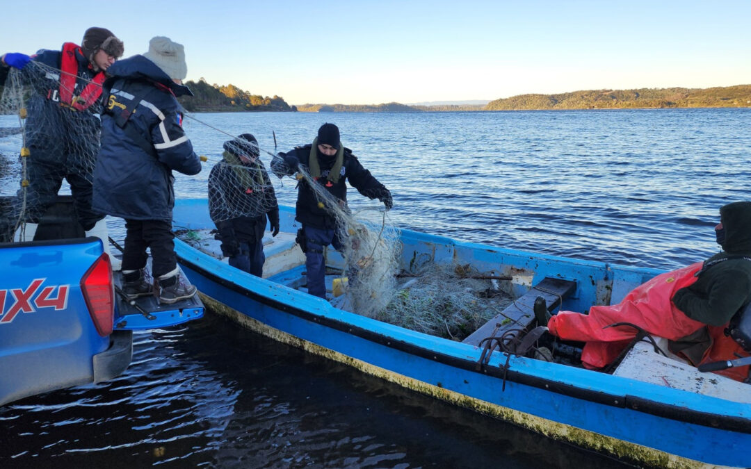 Encuentran almacenamiento ilegal de recursos del mar en Chiloé