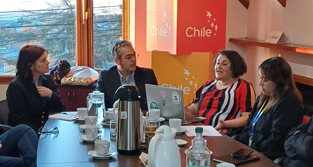 Desarrollan reunión clave en ProChile para impulsar exportaciones pesqueras de Magallanes