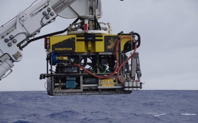 Centro i~mar ULagos a bordo de exitoso buque científico que descubrió nuevas especies para la ciencia