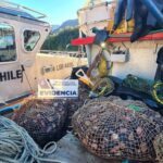 Autoridad Marítima de Puerto Aguirre incautó 960 kilos de choritos