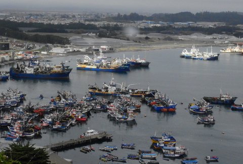 Capitanes de Pesca piden fomentar una industria con empleos de calidad