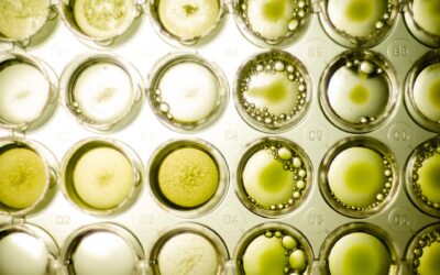 Aker BioMarine lanza nuevo producto de algas en Vitafoods 2024