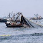 Perú: Descarga de anchoveta superó el millón de toneladas
