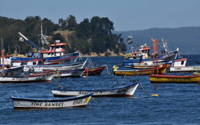 Publican resultados de la primera evaluación del estado de salud del océano en Chile